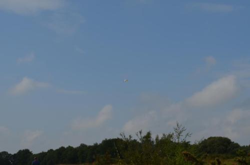 DSC 0049