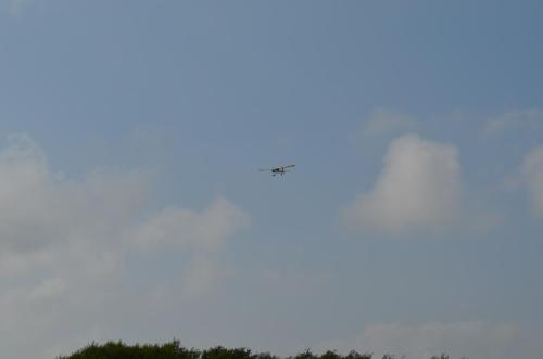 DSC 0051 (1)