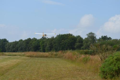 DSC 0063 (1)