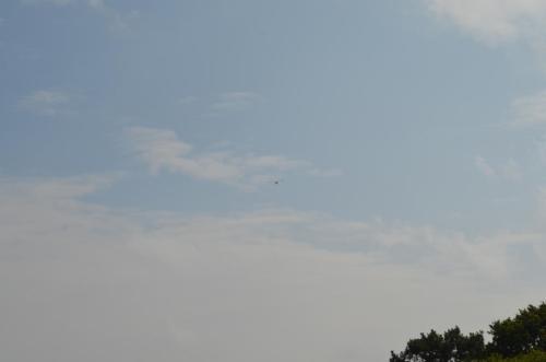 DSC 0088 (1)