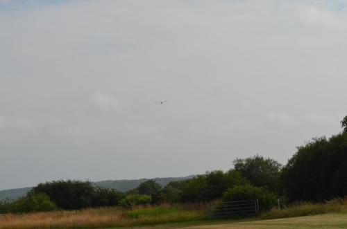 DSC 0093