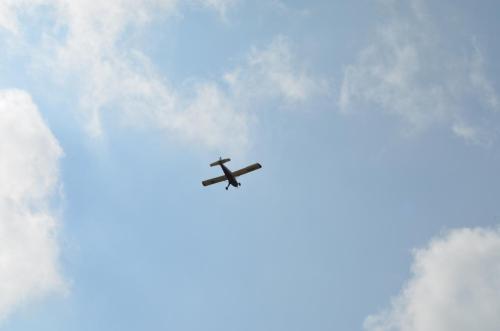 DSC 0108 (1)