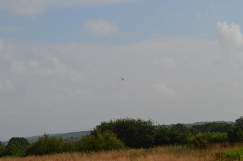 DSC 0138