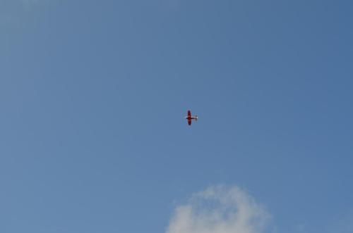 DSC 0150