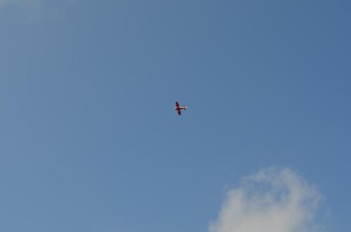 DSC 0151