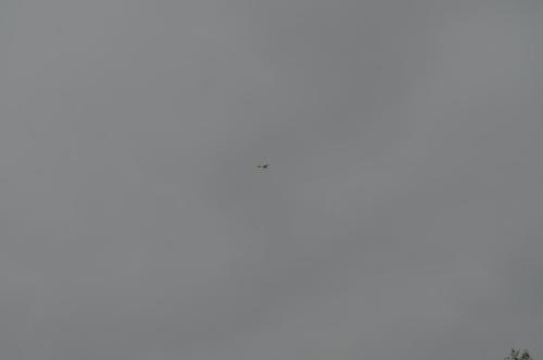 DSC 0848