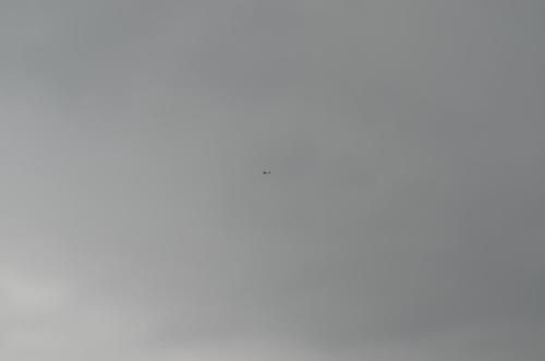 DSC 0851