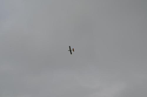 DSC 0855