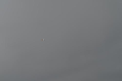 DSC 0857