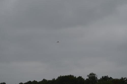 DSC 0883