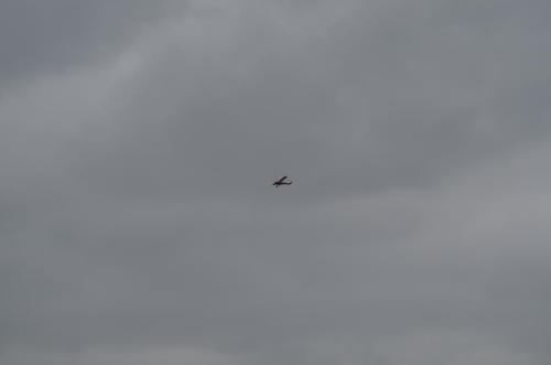 DSC 0884
