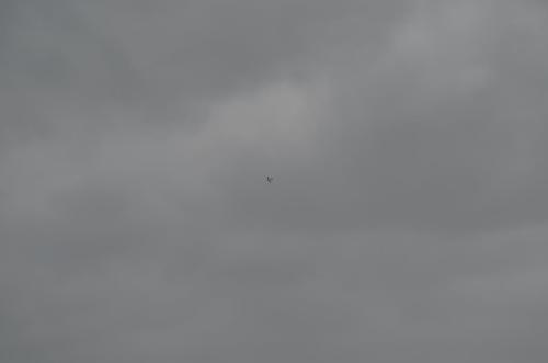 DSC 0890