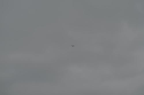 DSC 0891