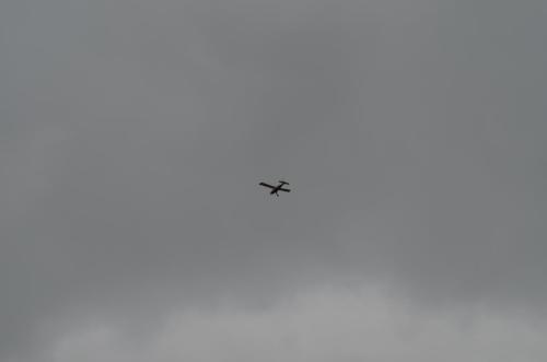 DSC 0893