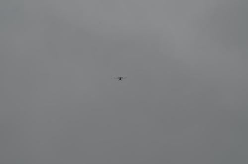 DSC 0894
