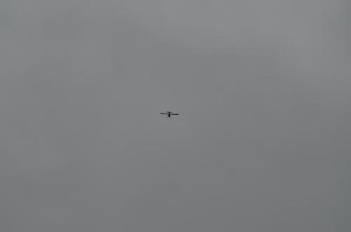 DSC 0895