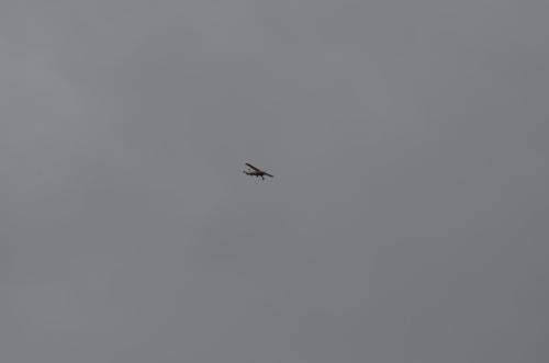 DSC 0897