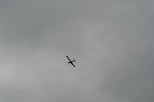 DSC 0901