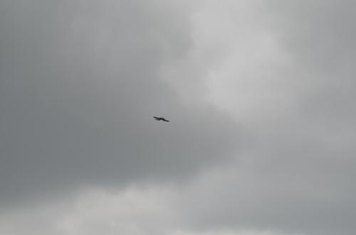 DSC 0902