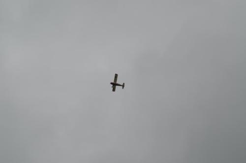 DSC 0903