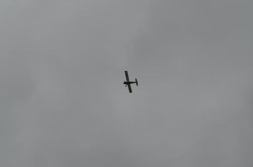 DSC 0904