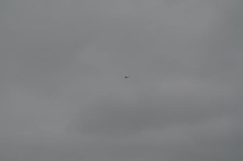 DSC 0908