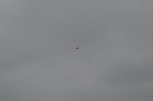 DSC 0910