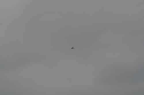 DSC 0911