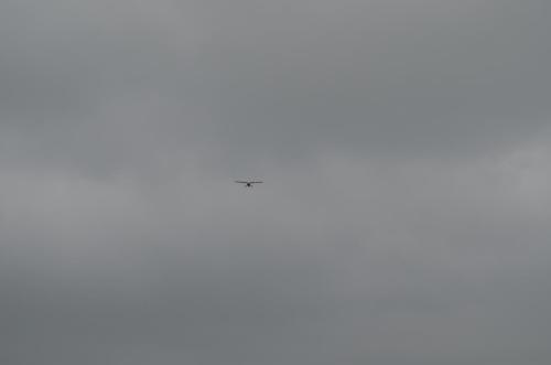 DSC 0917