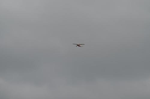 DSC 0919