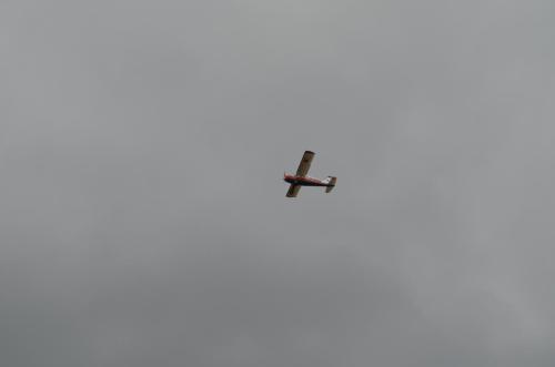 DSC 0921