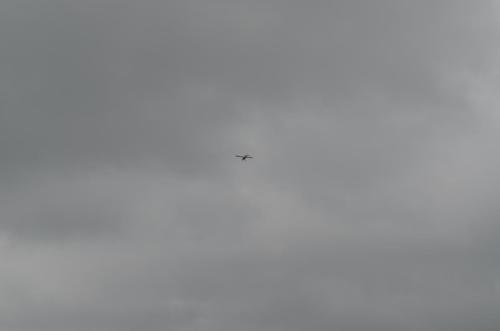 DSC 0922