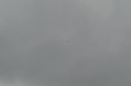 DSC 0933