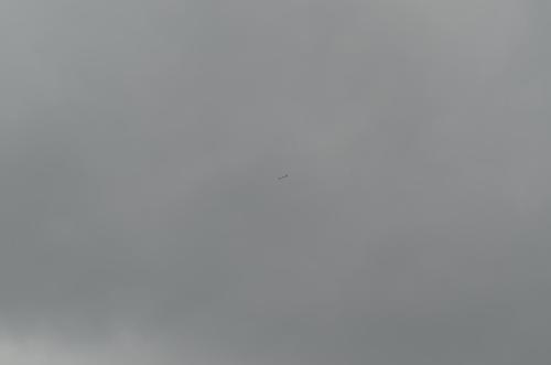 DSC 0934