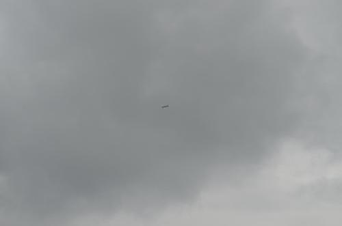 DSC 0935