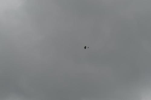 DSC 0937