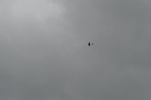 DSC 0938
