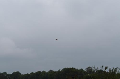 DSC 0968
