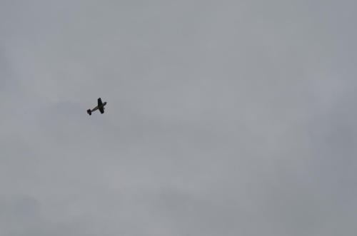 DSC 0971