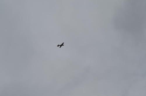 DSC 0973