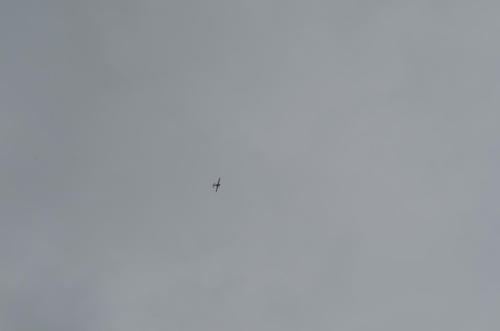 DSC 0976