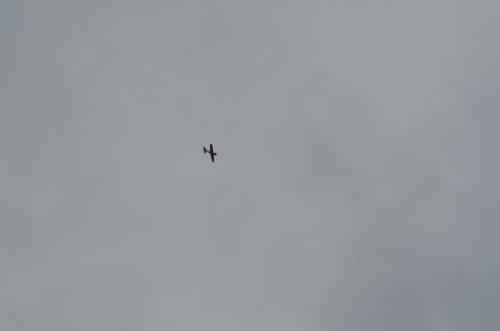 DSC 0978