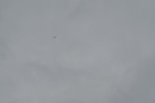 DSC 0980
