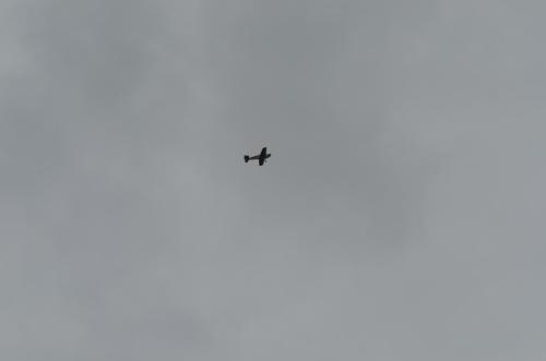 DSC 0983