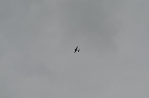 DSC 0989