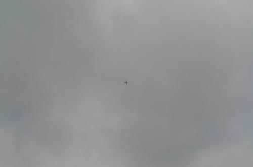 DSC 0991