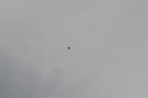 DSC 0993