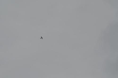 DSC 0994